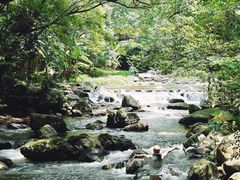 -广州市石门国家森林公园