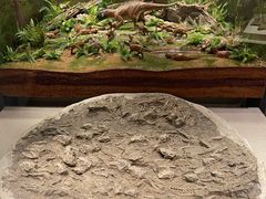 -辽宁古生物博物馆