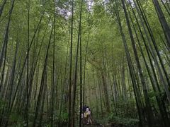 -南山风景名胜区