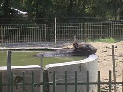 -秦皇岛野生动物园
