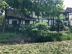 -西溪国家湿地公园