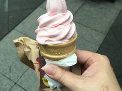 -麦当劳(花园城中心店)