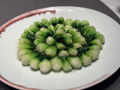 -子福慧(虹桥店)
