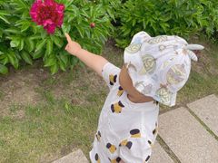 -长春公园(普阳街道)