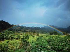-福建土楼（华安）旅游区•大地土楼群