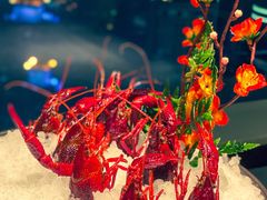 -芥末日本料理(打浦路铂尔曼旗舰店)