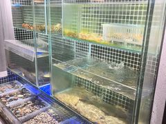 -吕氏焗小鲜•海鲜青岛菜(总店)