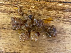 -宜宾燃面(汉渝路店)