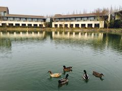 怡沁园度假村-上海怡沁园度假酒店