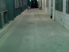 -中国人民武装警察部队特色医学中心