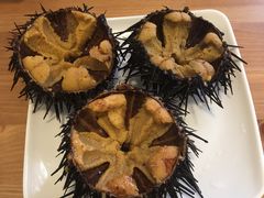 -海胆小馆(东北水饺·春柳店)