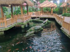 -南宫五洲植物乐园