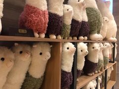 -廊坊固安福朋喜来登酒店