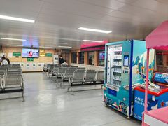 -武汉关码头(轮渡站)