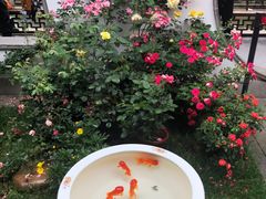 -郭庄茶室