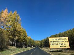 -塞罕坝国家级自然保护区