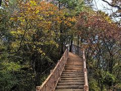 -塔云山