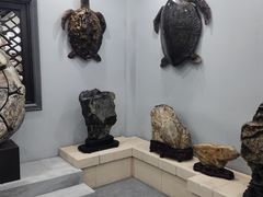 -游龙石文化科普馆