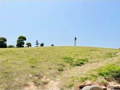 -武汉紫薇都市田园