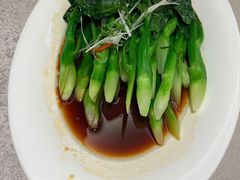 白灼芥兰菜-新南华大酒店(广中店)