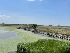 -宁波杭州湾国家湿地公园