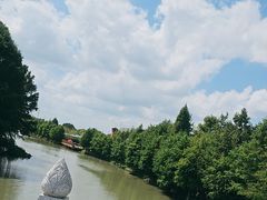 -顾村公园