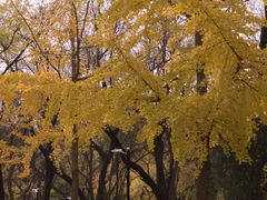-山东大学(趵突泉校区)