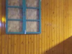 -东北小板凳地摊烧烤(泰来街店)