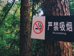 -窦圌山风景区