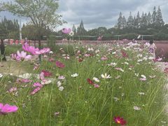 -嘉北郊野公园