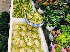 -双季花艺园艺市场(浦东店)