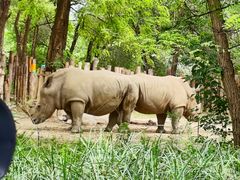 -北京野生动物园