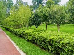 -西吴河科普公园