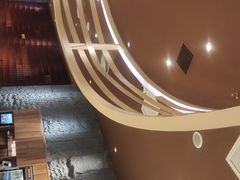 -巴奴毛肚火锅(大剧院店)