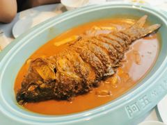 红烧黄河鲤鱼-阿五黄河大鲤鱼(纬三路店)