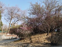 -保定市动物园