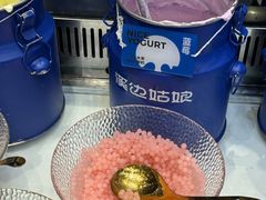 -溪边姑娘·拉丝酸奶水果捞(春熙路店)