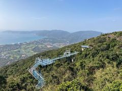 -亚龙湾热带天堂森林公园