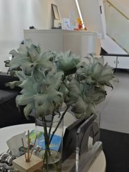 -春田皮肤管理中心品牌旗舰店