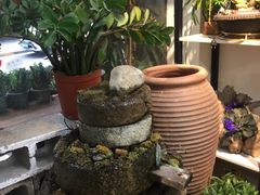 -溪岸路花鸟市场