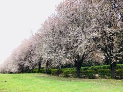 -秦始皇帝陵博物院-丽山园