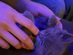 -解个谜沉浸剧情密室(天河店)