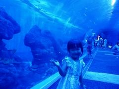 -成都浩海立方海洋公园