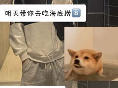 -海底捞火锅(亲子主题北金鹰店)