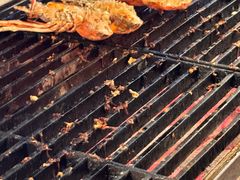 -亚龙湾希尔顿自助餐厅·海鲜·烧烤·沙滩BBQ·现场乐队