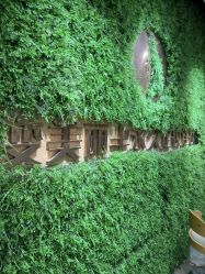 -变美丽半永久纹眉连锁·机器野生眉•洗眉