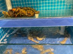 -鲜小岛·铜锅涮肉