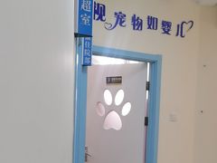 -全心全意连锁动物医院·微创中心·内科急重症·心脏专科(丰管路店)