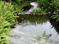 -泸州老窖景区