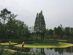 -桤木河湿地公园